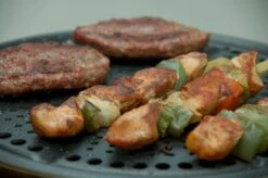 Cobb Premier+ Gas Gasbarbecue - Grijs -Camping Promotiewinkel 1263 1900 dsc 0474