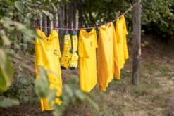 Easy Camp Palmdale 600 Tunneltent - 6 Persoons -Camping Promotiewinkel 1267 1900 waslijn 1