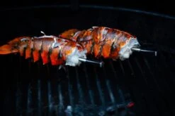 MEATER Block Met 4 Draadloze Thermometers -Camping Promotiewinkel 20190625 mg 6541