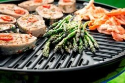CADAC Carri Chef 50 Gasbarbecue - BBQ/Skottel -Camping Promotiewinkel 801 1200 carri chef 50 bbq grid