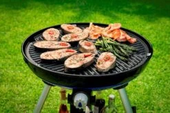 CADAC Carri Chef 50 Gasbarbecue - BBQ/Skottel -Camping Promotiewinkel 801 1200 carri chef 50 bbq grid 2