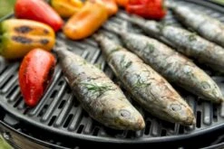 CADAC Grillo Chef 40 Gasbarbecue - BBQ -Camping Promotiewinkel 900 1348 grillo chef 40 bbq grid 1