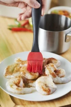 Barbecook Sauspan Met Marinadeborstel -Camping Promotiewinkel 900 600 bc acc 7211 sf 12 hr