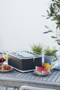 Barbecook Carlo Houtskool Tafelbarbecue - Grijs -Camping Promotiewinkel 900 600 bc cha 1015 sf 16 hr