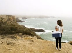 Mobicool MT08 Blauw Autokoelbox - 8 Liter -Camping Promotiewinkel mobicool mt 08 cliff woman 1 resultaat